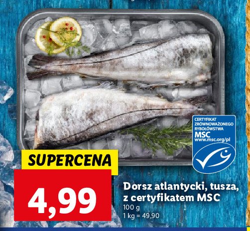 Dorsz atlantycki - tusza promocja