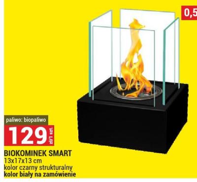 Biokominek BIOKOMINEK SMART promocja w Merkury Market