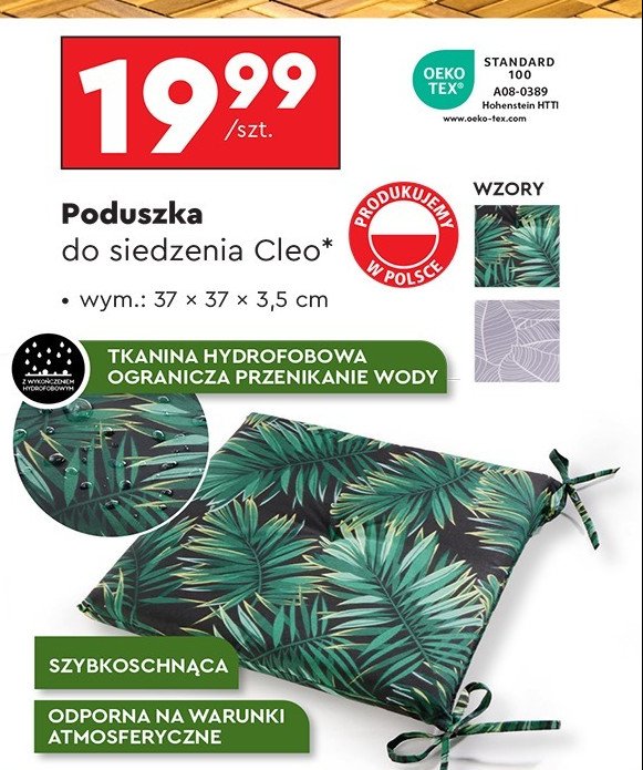 Poduszka cleo 37 x 37 x 3.5 cm promocja w Biedronka