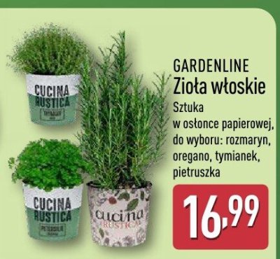 Zioła włoskie  promocja w Aldi