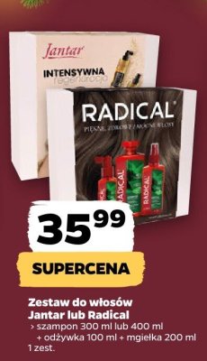 Zestaw do włosów Jantar lub Radical szampon 300 ml lub 400 ml + odżywka 100 ml + mgiełka 200 ml promocja w Netto