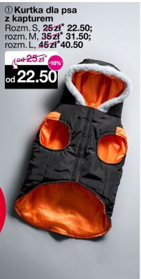 Kurtka dla psa z kapturem promocja w Woolworth