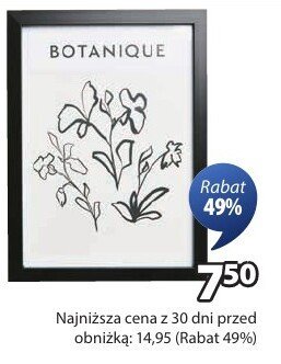 Ramka na zdjęcia BOTANIQUE promocja w Jysk