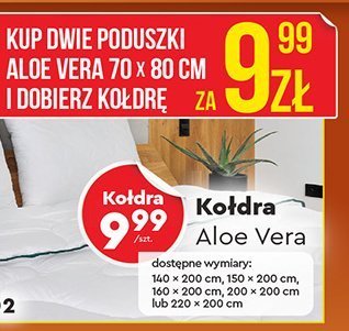 Kołdra Aloe Vera  promocja w Biedronka