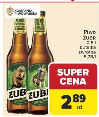 Piwo ŻUBR promocja w Carrefour