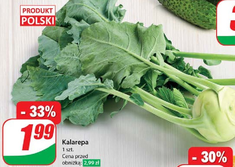 Kalarepa promocja w Dino