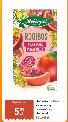 Herbatka rooibos z czerwoną pomarańczą Herbapol 20 torebek promocja w Dino