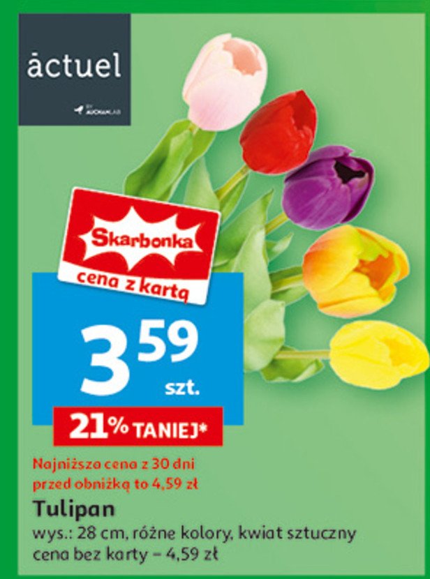 Tulipan 28 cm Actuel promocja w Auchan