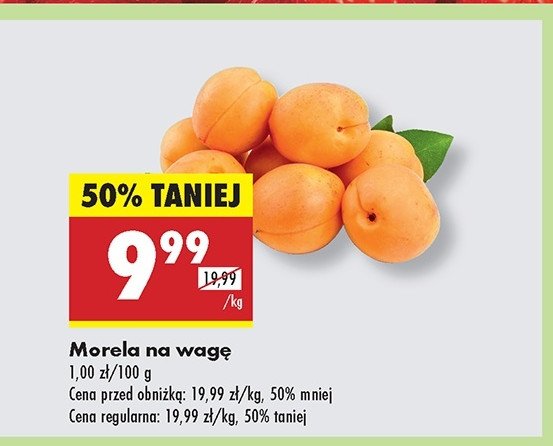 Morela promocja
