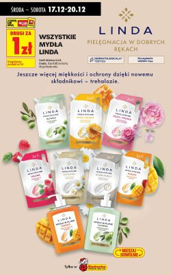 Wszystkie mydła w płynie Linda DRUGIE ZA 1 ZŁ promocja w Biedronka
