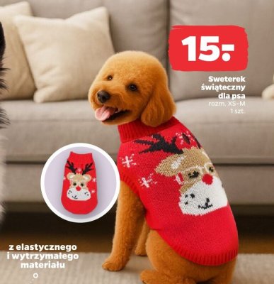 Sweterek świąteczny dla psa promocja w Netto