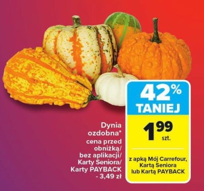 Dynia promocja w Carrefour