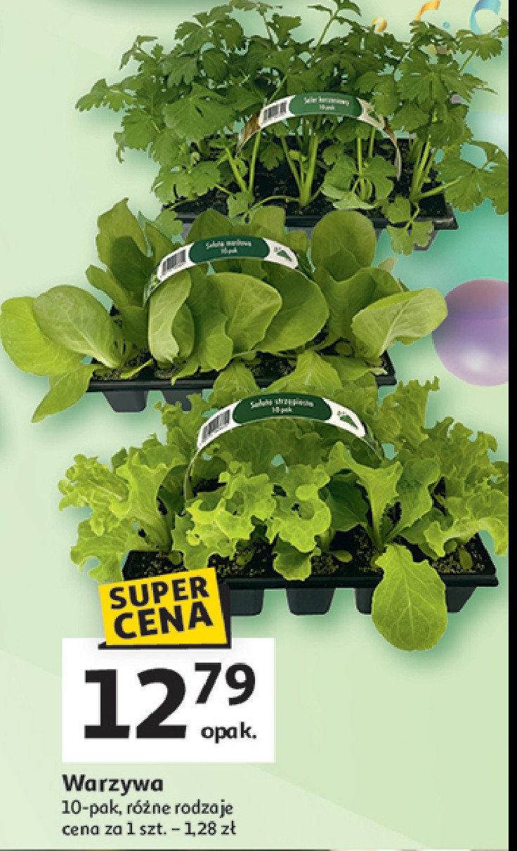 Seler naciowy promocja w Auchan