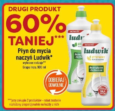 Płyn do mycia naczyń Ludwik promocja w POLOmarket