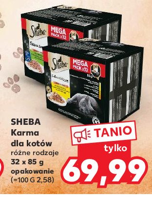 Karma dla kota soczyste smaki Sheba promocja
