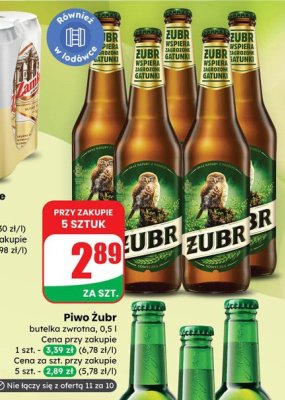 Piwo Żubr promocja w Dino