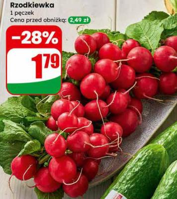 Rzodkiewka promocja w Dino