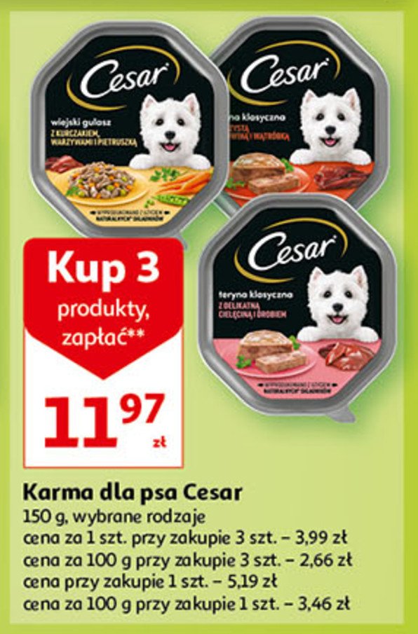 Karma dla psa wiejski gulasz z delikatną wołowiną indykiem i ziołami Cesar (karma) promocja