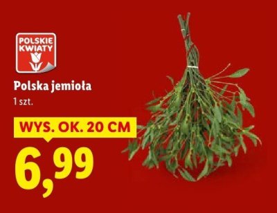 Polska jemiota promocja w Lidl