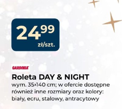 Roleta DAY & NIGHT 35×140 cm promocja w PSB Mrówka