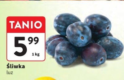 Śliwka promocja w Intermarche