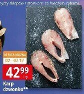 Karp dzwonko promocja w Leclerc