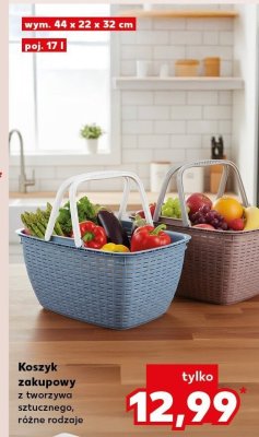 Koszyk zakupowy z tworzywa sztucznego, różne rodzaje promocja w Kaufland