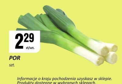Koszulka sportowa damska rozm. 32-46 Newletics promocja w Chorten