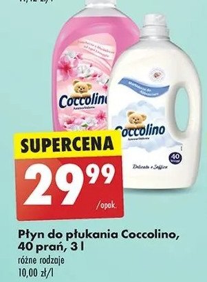 Płyn do płukania aria di primavera Coccolino promocja