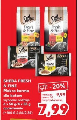 Karma dla kota z kurczakiem drobiem indykiem Sheba fresh & fine promocja
