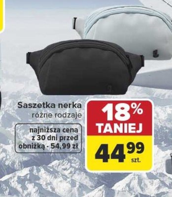 Saszetka nerka różne rodzaje promocja w Carrefour