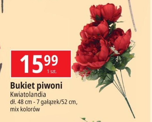 Bukiet piwonii 52 cm Kwiatolandia promocja