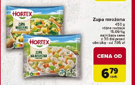 Zupa wiosenna 9-sk艂adnikowa Hortex promocja