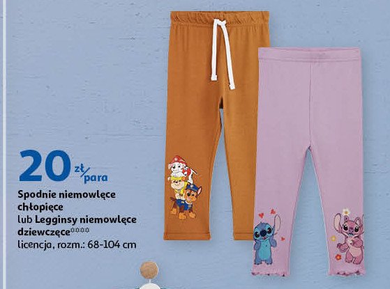 Spodnie dresowe chłopięce Auchan inextenso promocja
