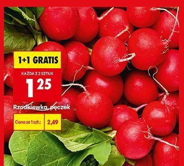 Rzodkiewka promocja w Biedronka