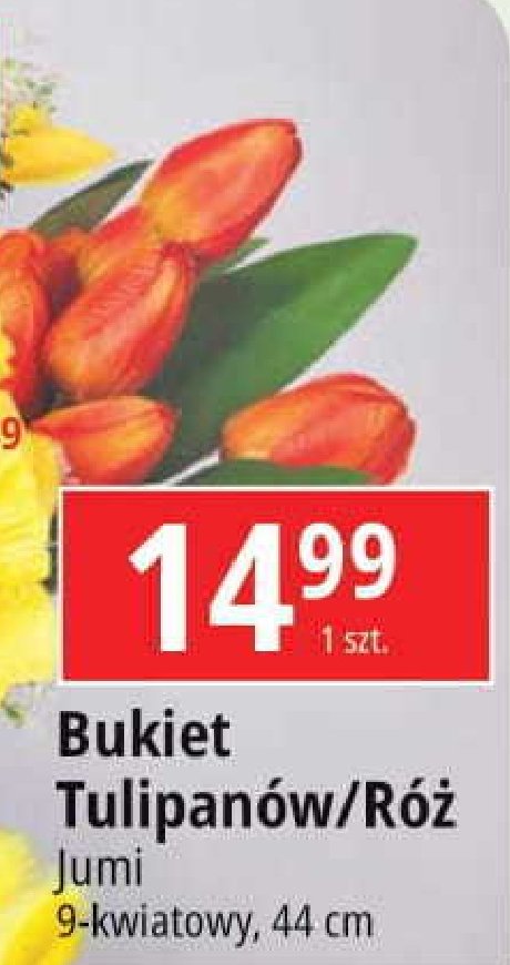 Bukiet tulipanow Jumi promocja