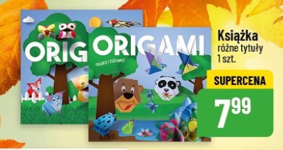 Origami promocja w POLOmarket
