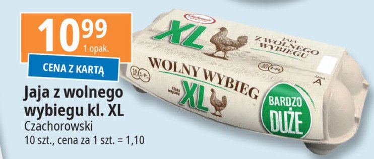 Jaja kl. xl Czachorowski promocja