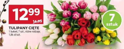 Tulipany cięte 7 szt. promocja w Stokrotka