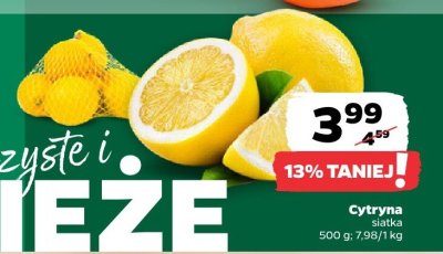 Cytryna siatka promocja w Netto