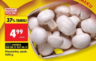 Pieczarka opak. 500 g promocja w Biedronka
