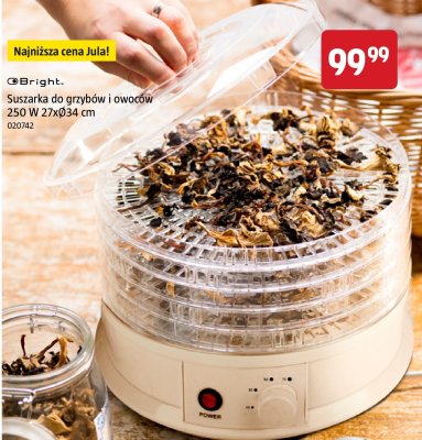 Suszarka do grzybów i owoców Bright 250 W promocja w Jula