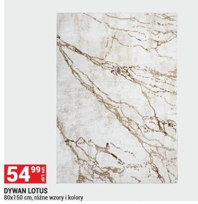 Dywan LOTUS 80x150 cm, różne wzory i kolory promocja w Merkury Market