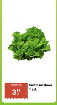 Sałata masłowa 1 szt. promocja w Biedronka