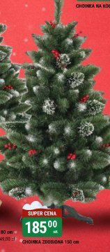 Choinka szroniona na plus 150 cm promocja w bi1