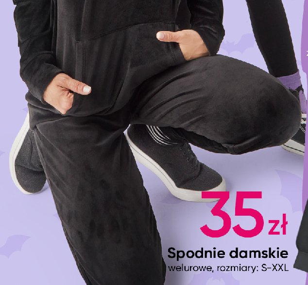 Spodnie damskie s-xxl promocja w Pepco