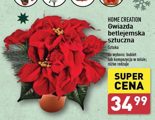 Gwiazda betlejemska Home creation promocja w Aldi