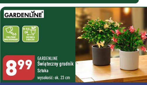 Grudnik 22-24 cm GARDEN LINE promocja