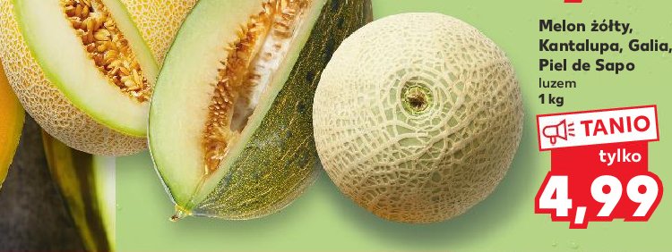 Melon kantalupa promocja