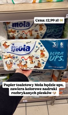 Papier toaletowy 3 warstwy 8 rolek promocja w Intermarche